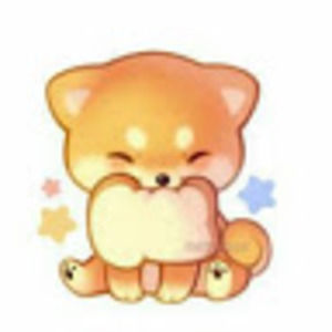 Meet your Posher, Alina